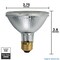 Philips 53w 120v PAR30 FL25 2900K EcoVantage E26 Halogen Light Bulb